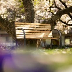 TECTAKE Gartenbank Micha 2-Sitzer Aus Holz 119,5x 62x83cm - Gartenmöbel, Balkonmöbel, Bank -TECTAKE Shop 7500408 3